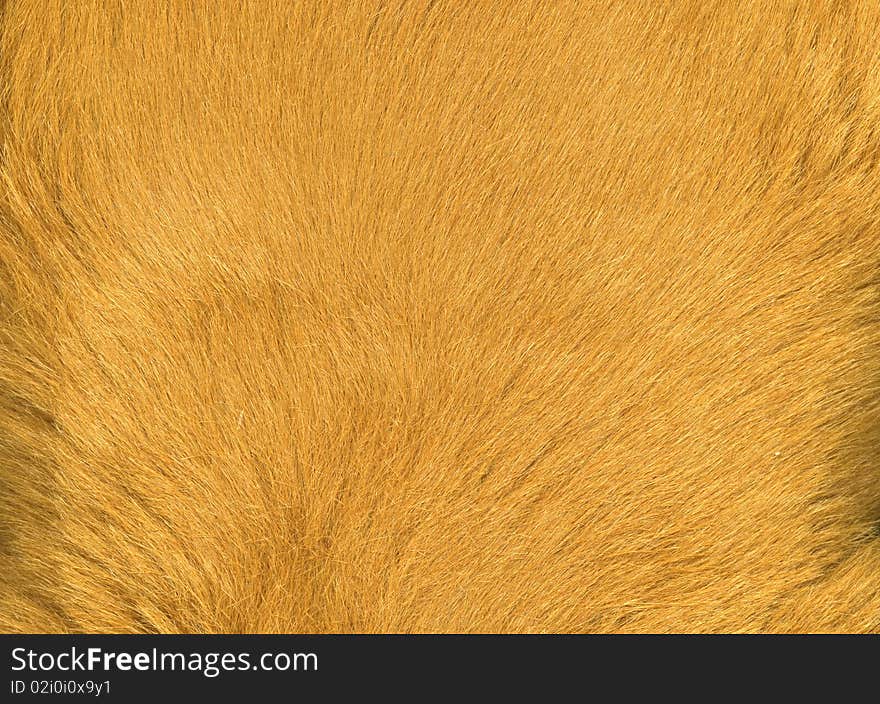 Artifical toy fur scanned with high resolution