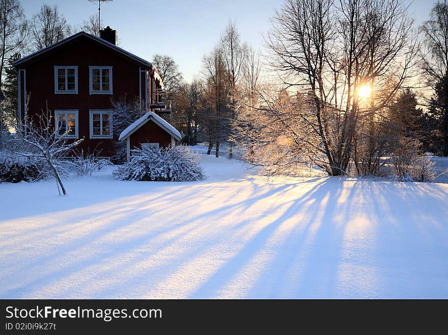 Morning light