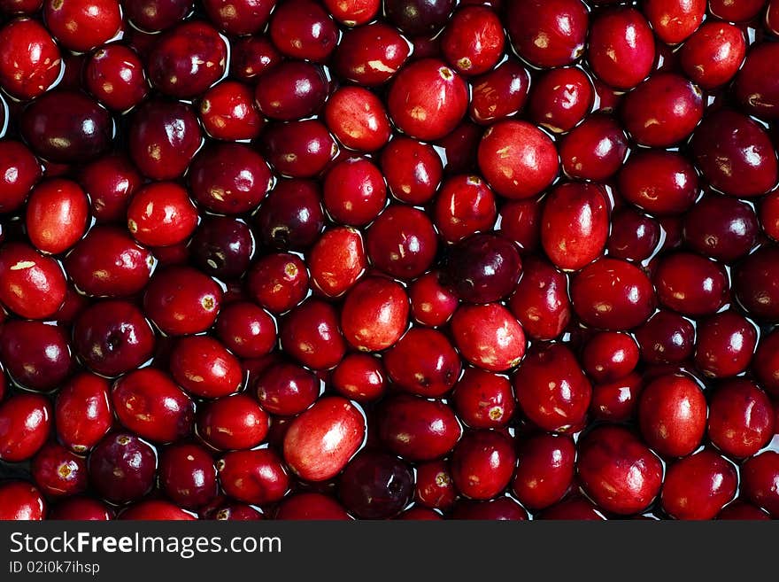 Floating Cranberries