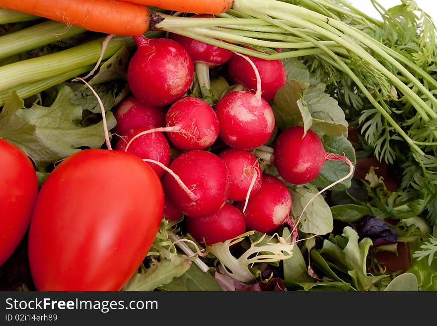 Fresh Vegetables