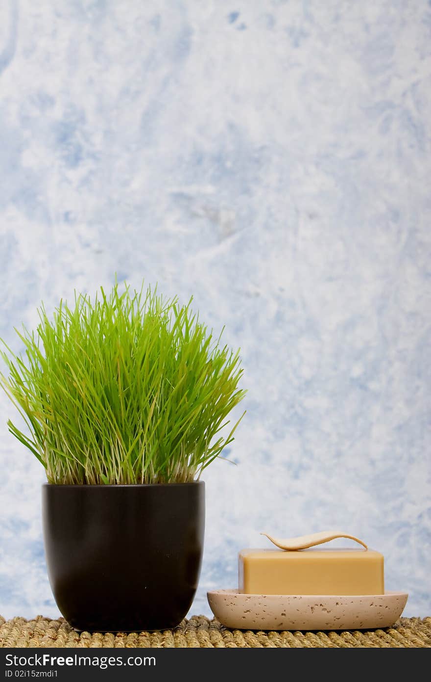 Bar of soap with wheatgrass. Bar of soap with wheatgrass