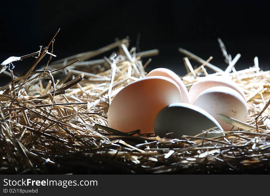 Duck eggs, five picture cards