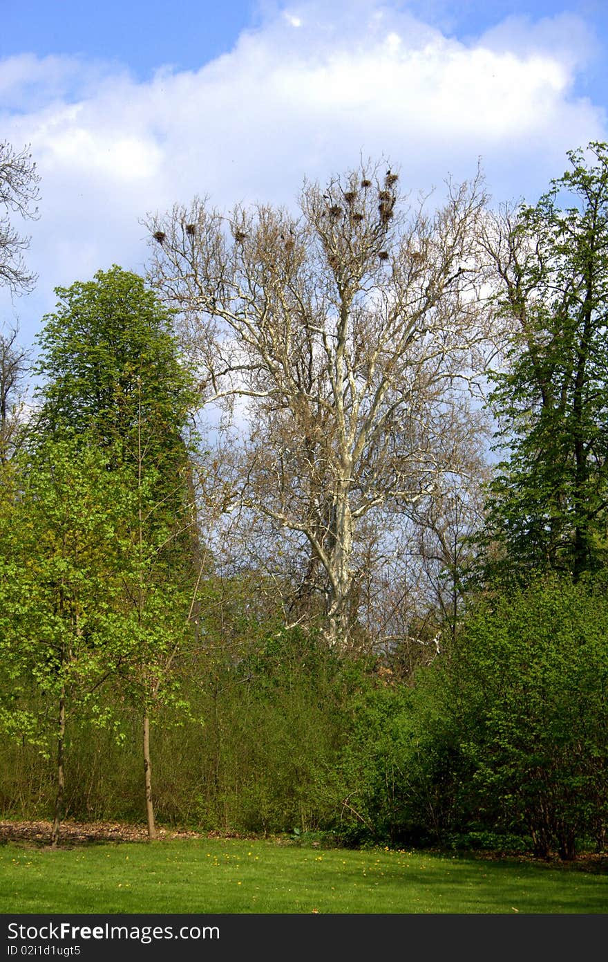 Park In Cakovice