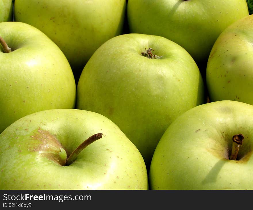 Photo of fresh green apples from orchard. Photo of fresh green apples from orchard