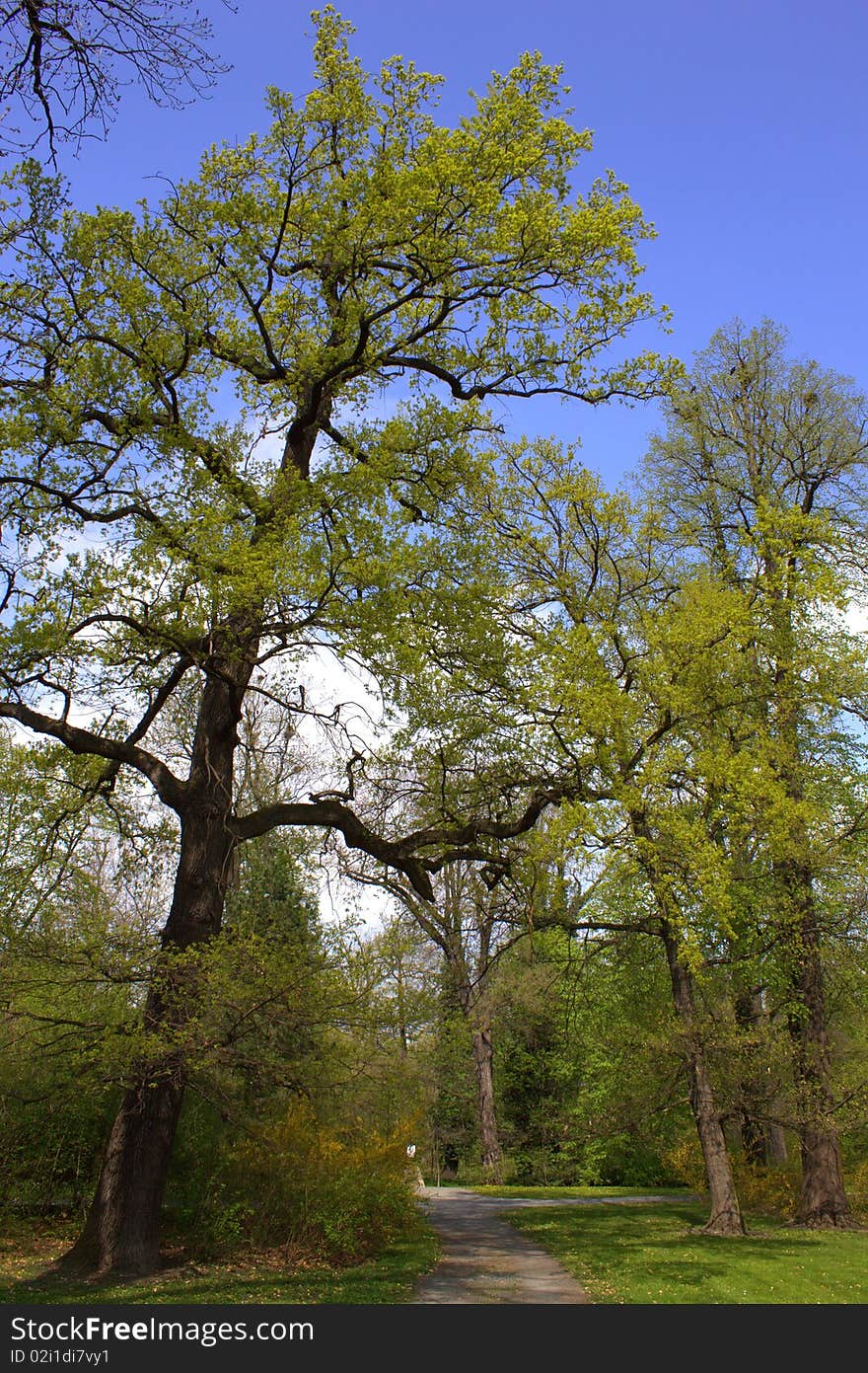 Park In Cakovice