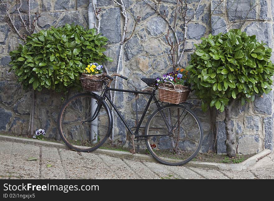 Decorated bike