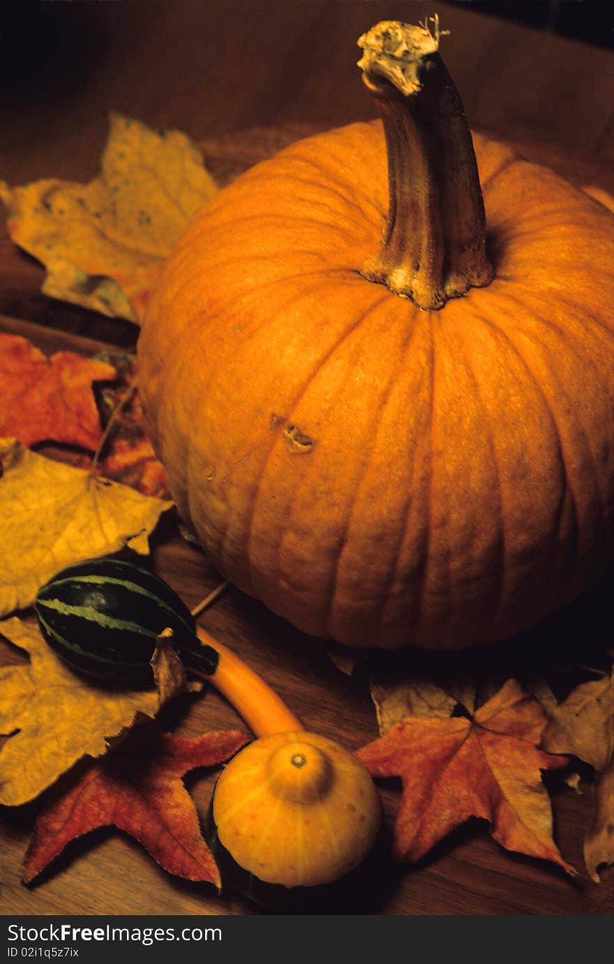 Pumpkin And Leaves