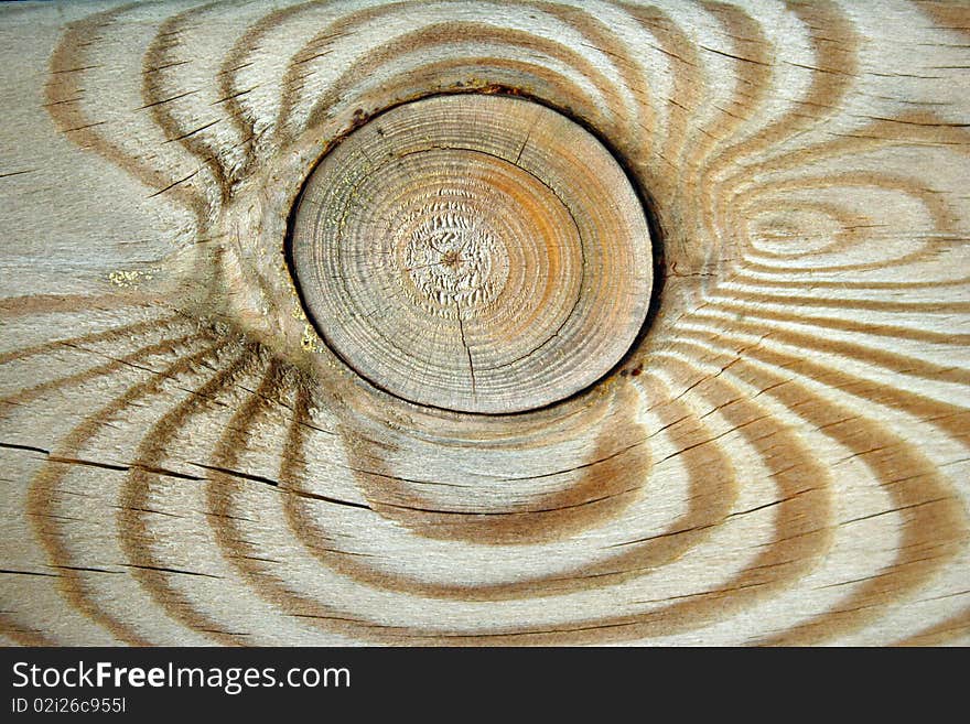 Wood texture