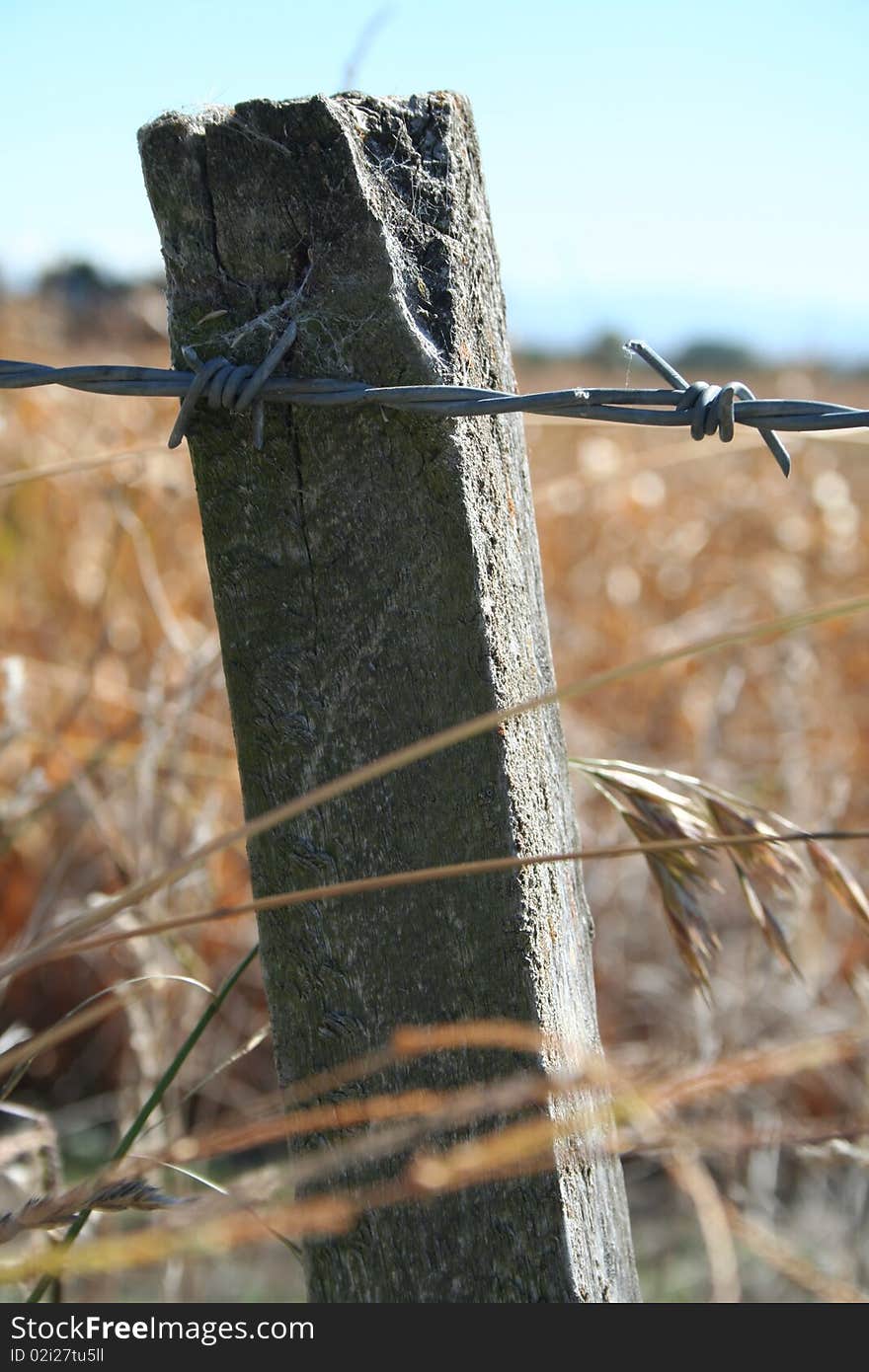 Barbed wire fence with posts and dry grasses growing around the fence