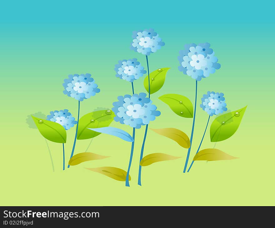 Blue flowers