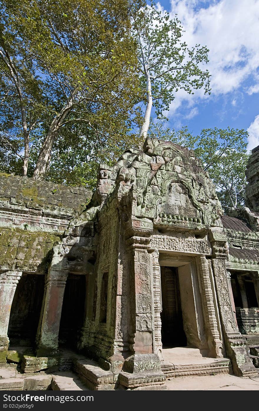 Ta Prohm temple within the Angkor Temples, Cambodia