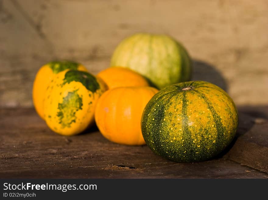 Still life with pumpkin against a old wall background