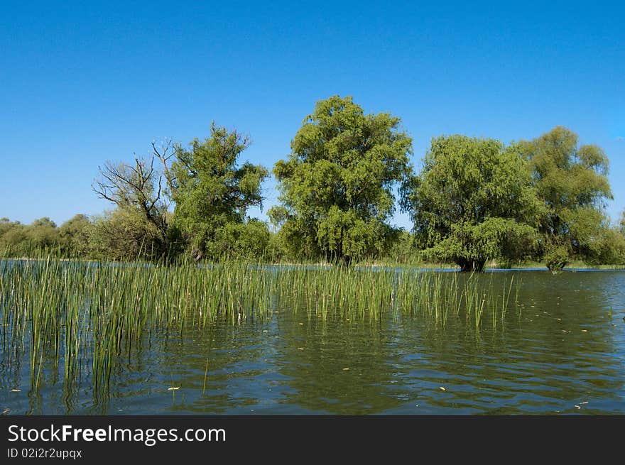 Water Landscape In Danube Delta