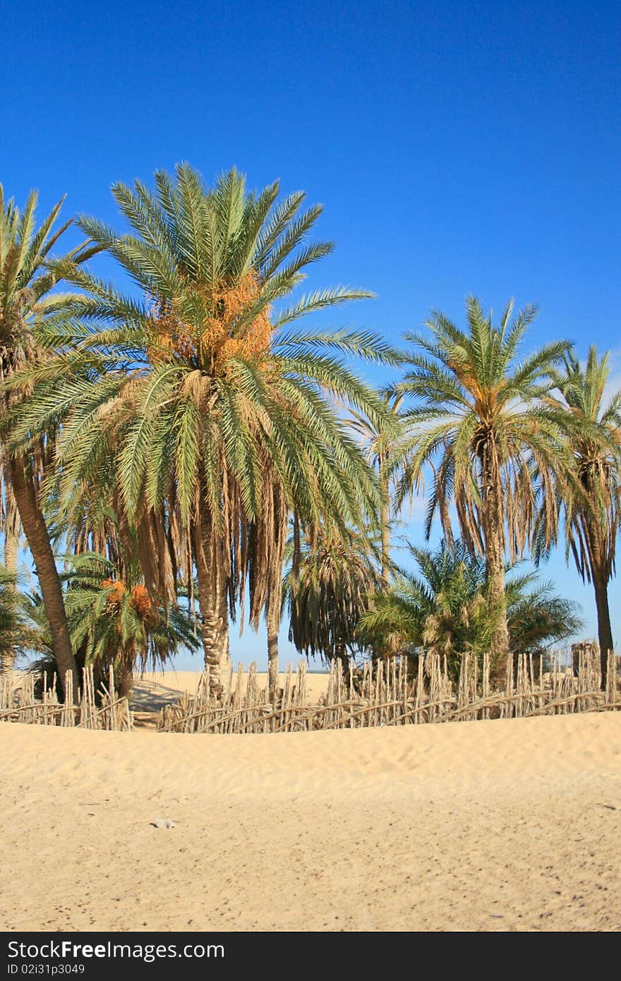 Oasisis mountains at border of Sahara