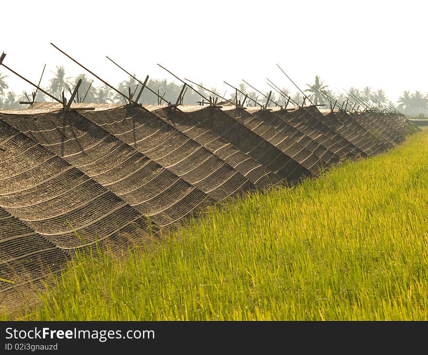 Shading net on field