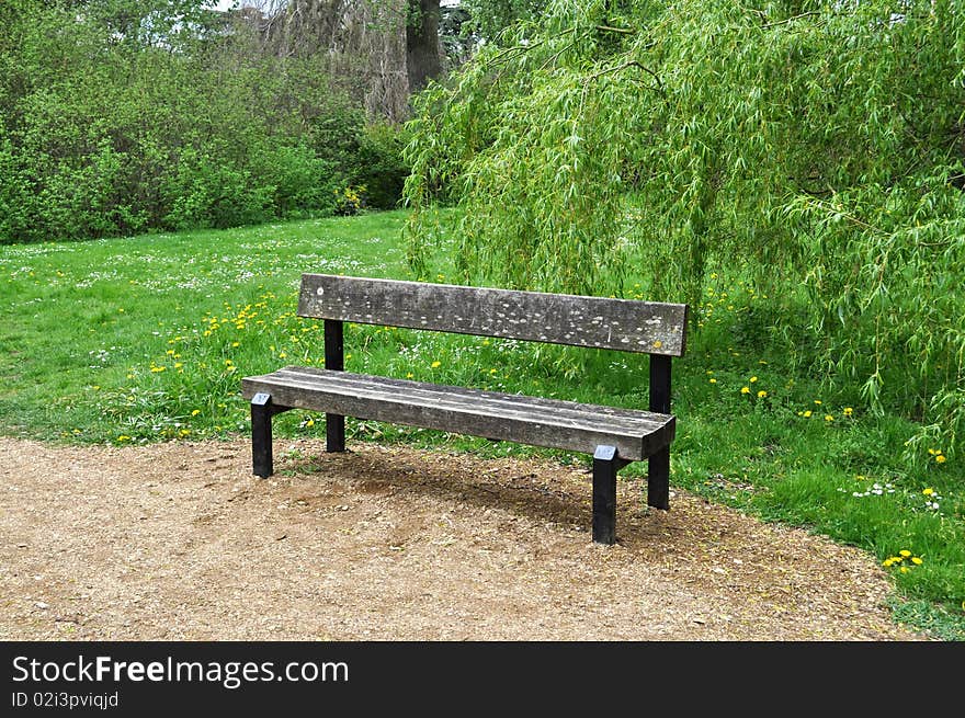 Bench on the park path.