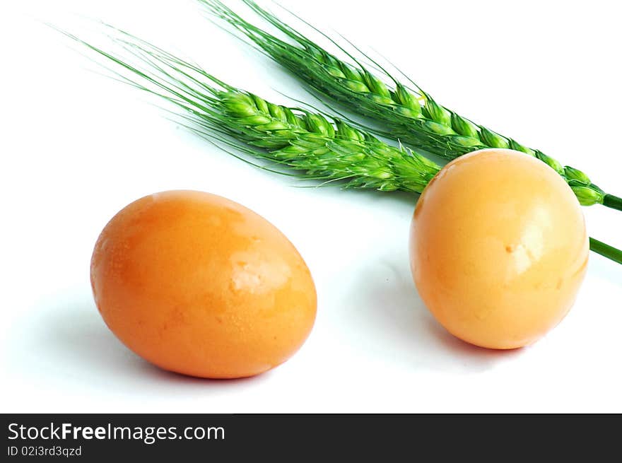 Green wheat and eggs isolated on white background