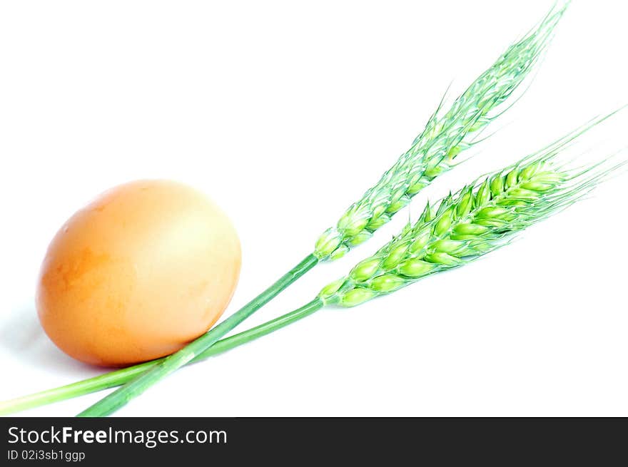 Egg and wheat ears isolated on white background