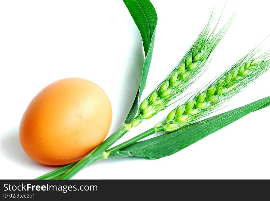 Egg and wheat ears isolated on white background.