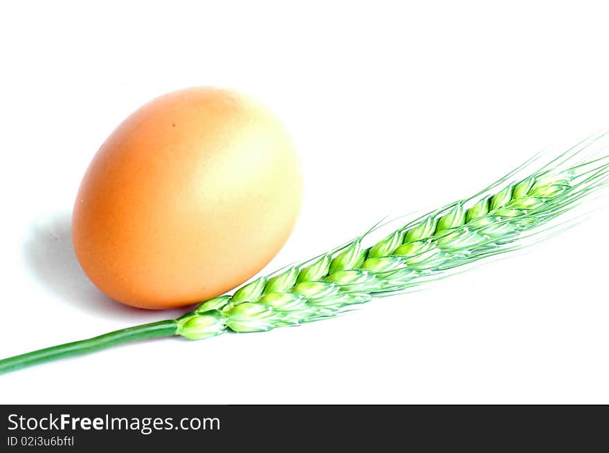 Egg and wheat ear isolated on white background