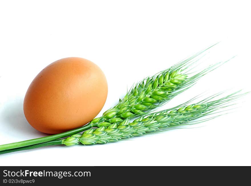 Egg and wheat ears isolated on white background