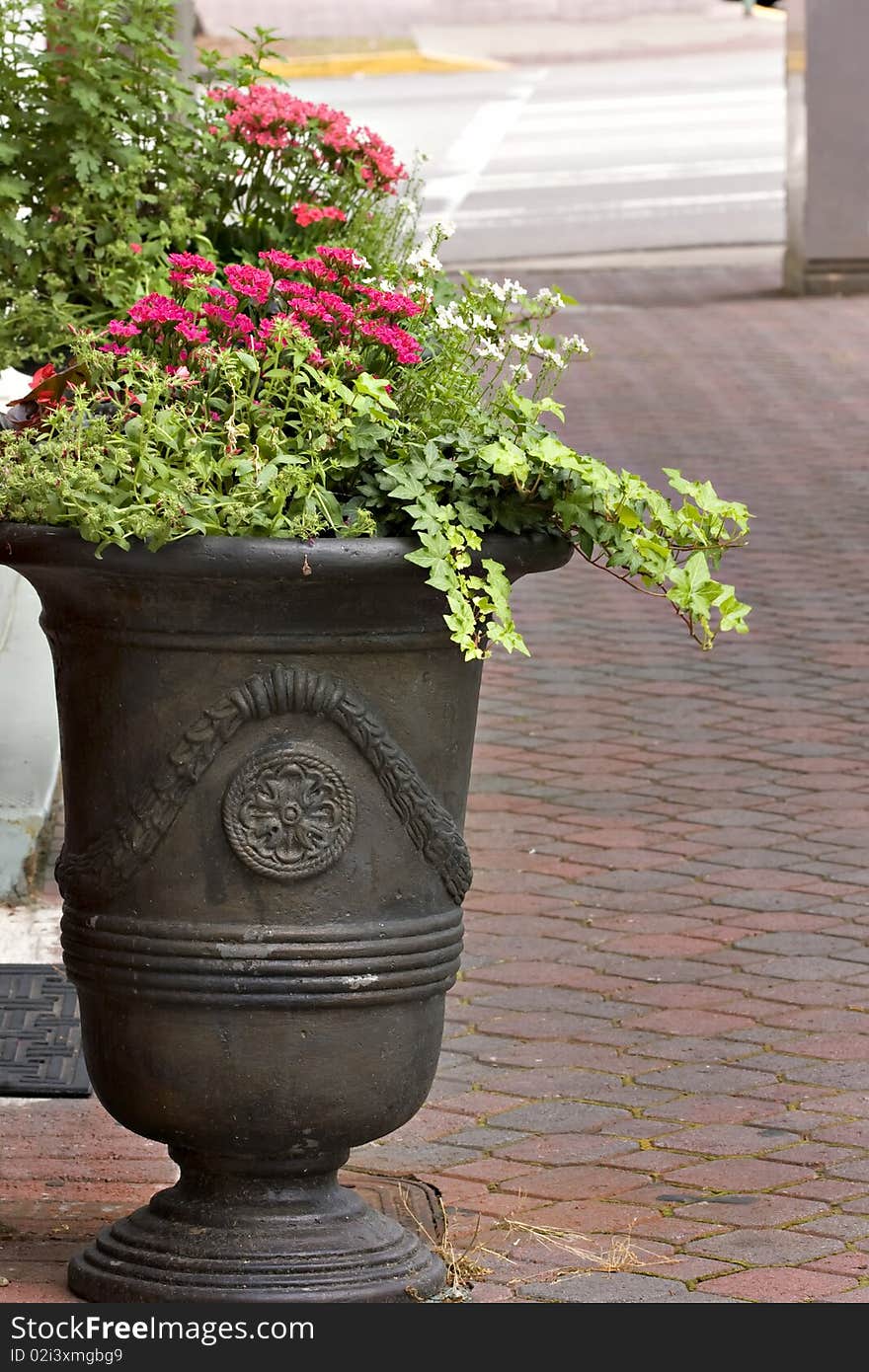 Colorful Flowers On City Sidewalk