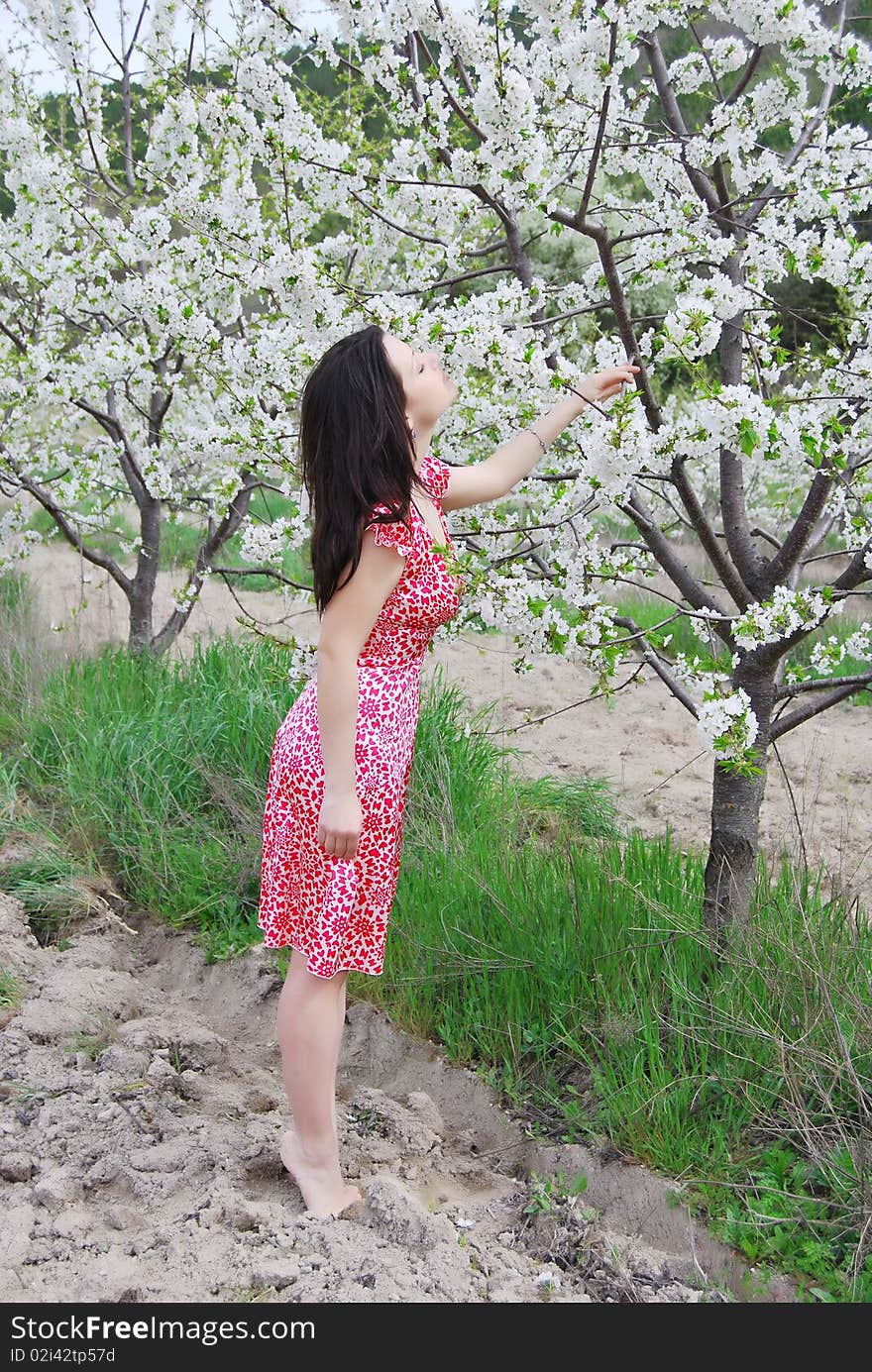 The beautiful girl in a garden