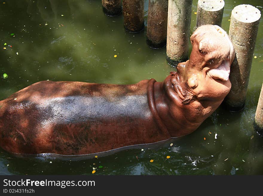 Hippo sleep in Khao Kiew Open Zoo chonburi Thailand