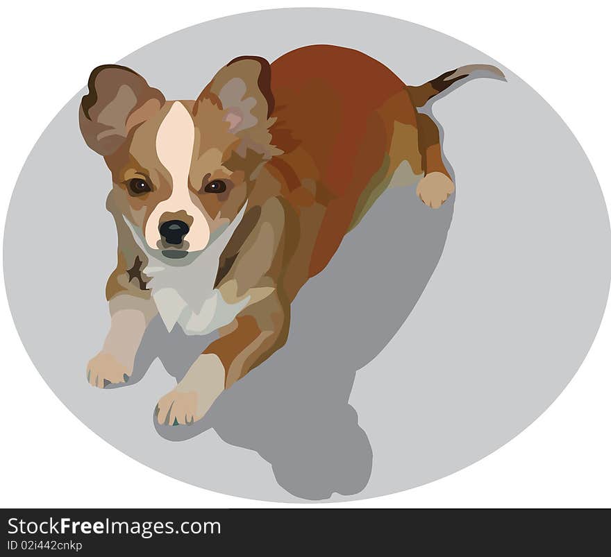 a vectorial image of little room dog of red is colours. a vectorial image of little room dog of red is colours