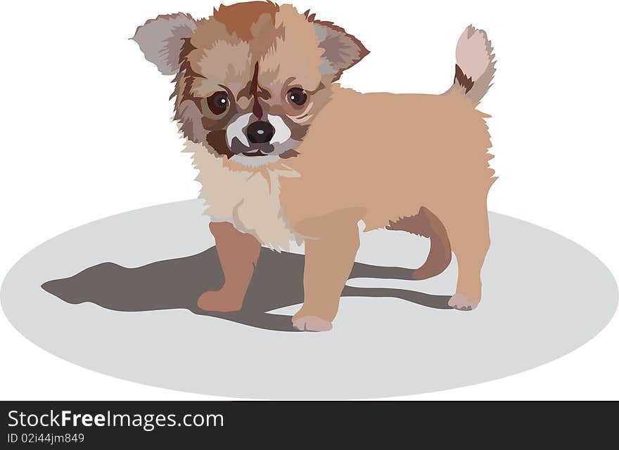 vectorial image of little puppy of unknown breed