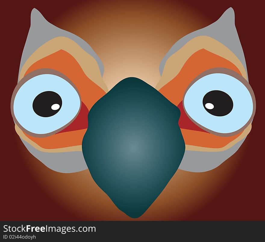 image of bird with the large opened eyes. image of bird with the large opened eyes