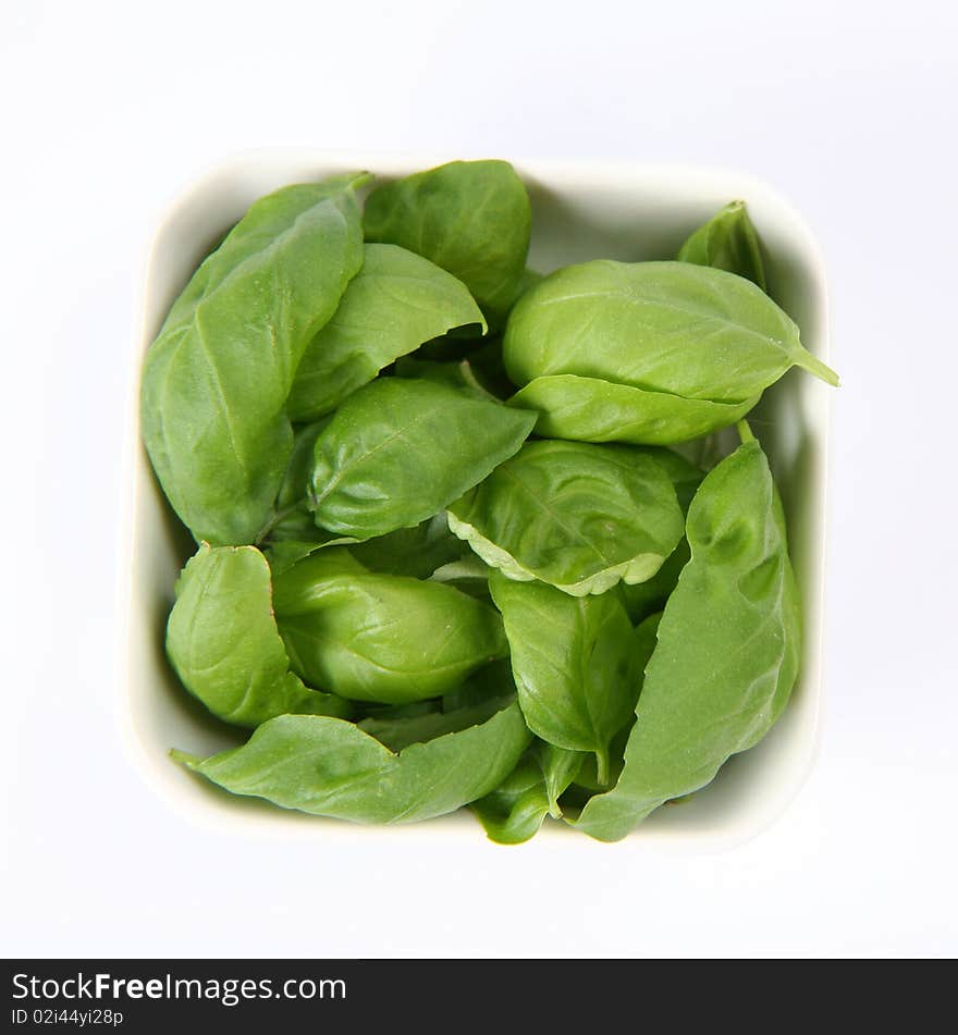 Basil