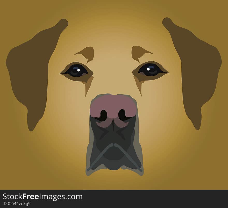 Muzzle of dog