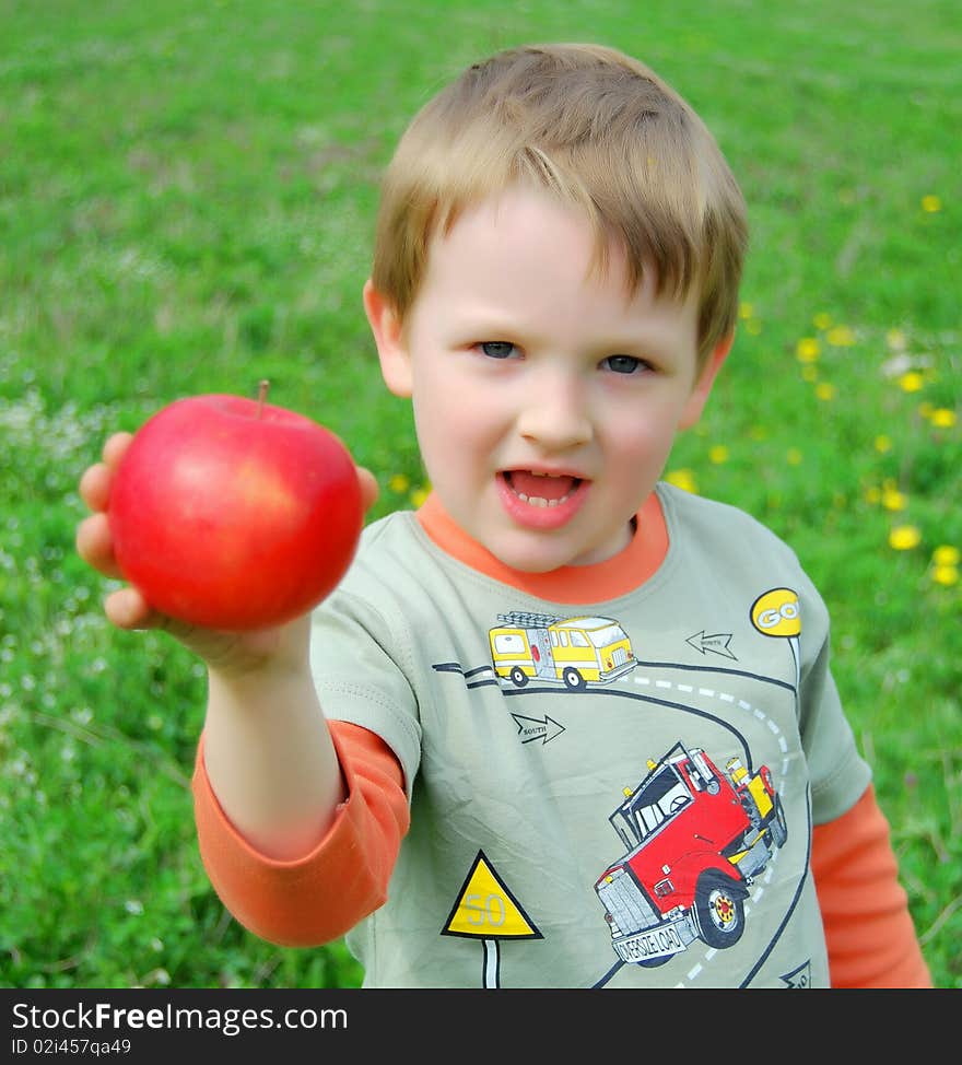 The little boy on walk on a meadow