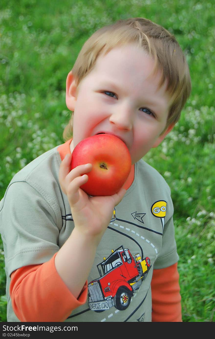 The little boy on walk on a meadow