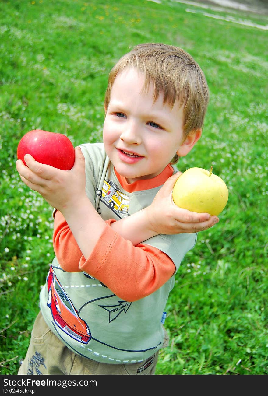 The little boy on walk on a meadow