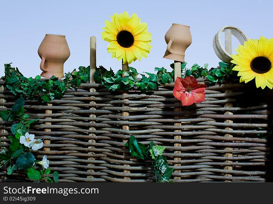 Wicker fence, sunflowers and pots. Wicker fence, sunflowers and pots