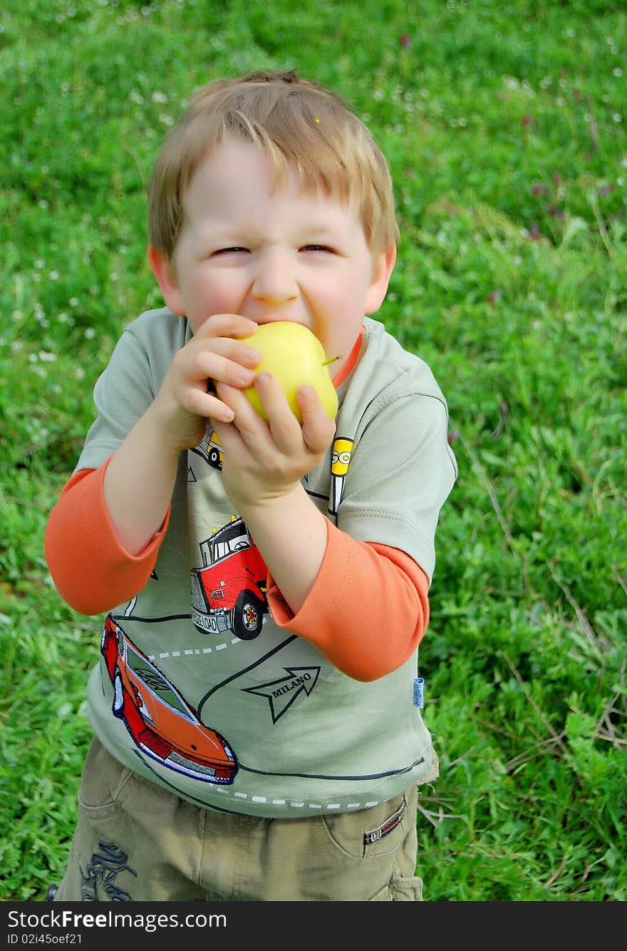 The little boy on walk on a meadow