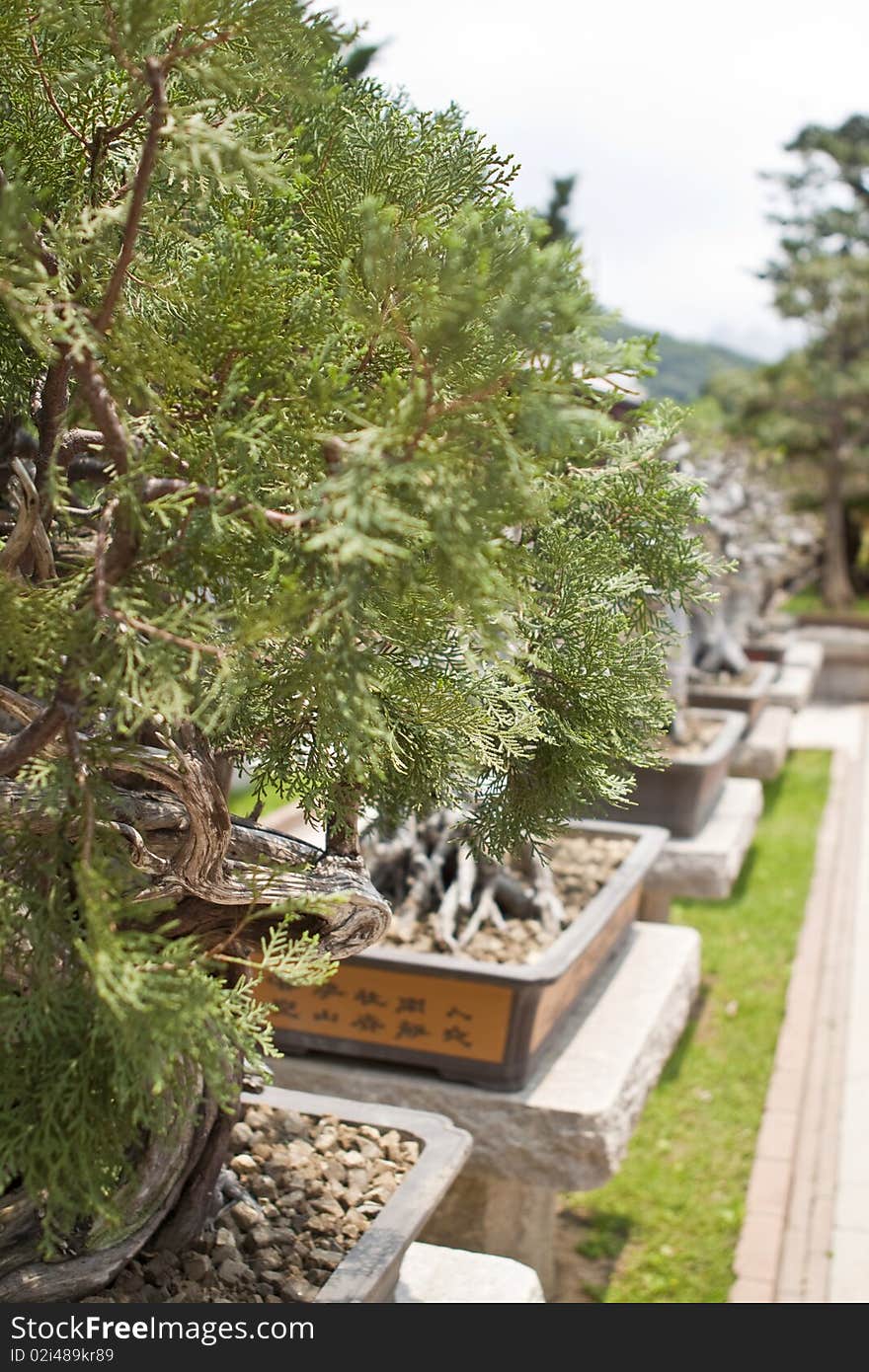 Chi Lin Nunnery