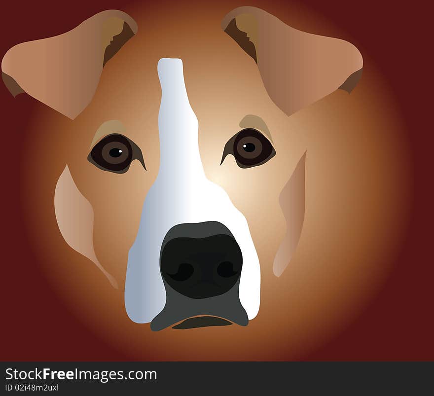 Muzzle of dog