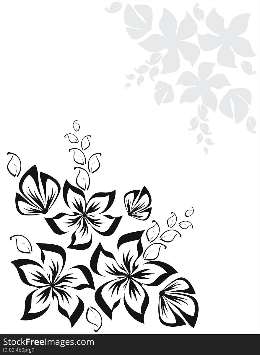 Collection of black floral element. Collection of black floral element