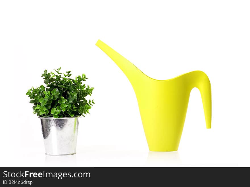 Potted flower and watering can in the studio on a white background. Potted flower and watering can in the studio on a white background.