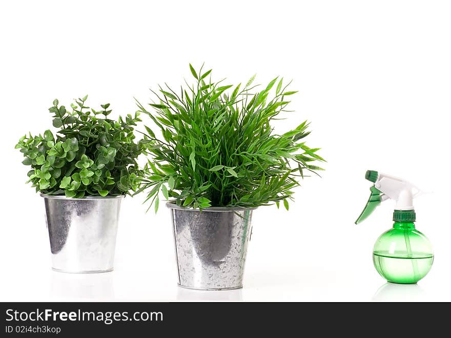 Two flowers in metal pots and spray bottle.