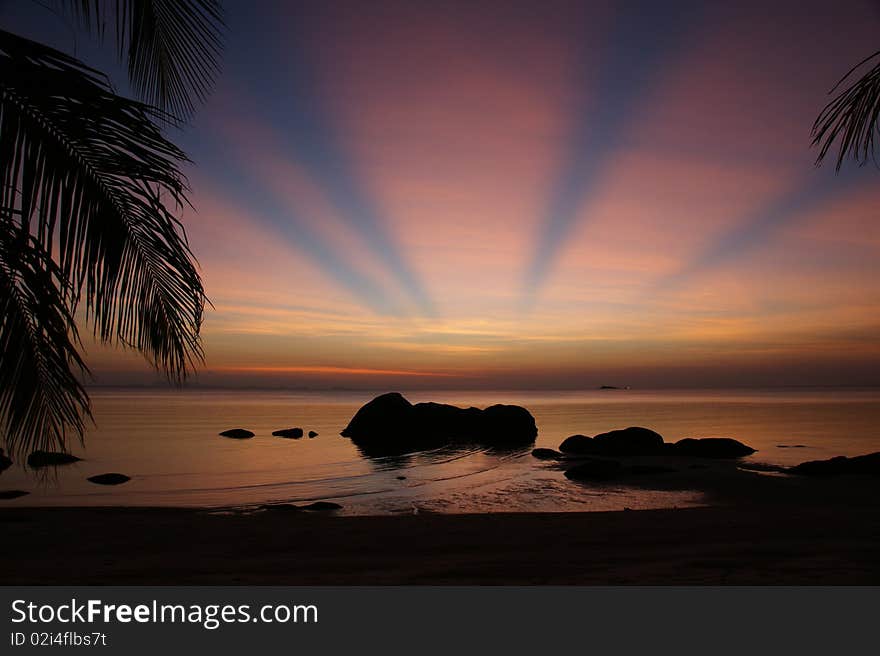 Sunset on the sea with sun rays, stones and palm. Sunset on the sea with sun rays, stones and palm