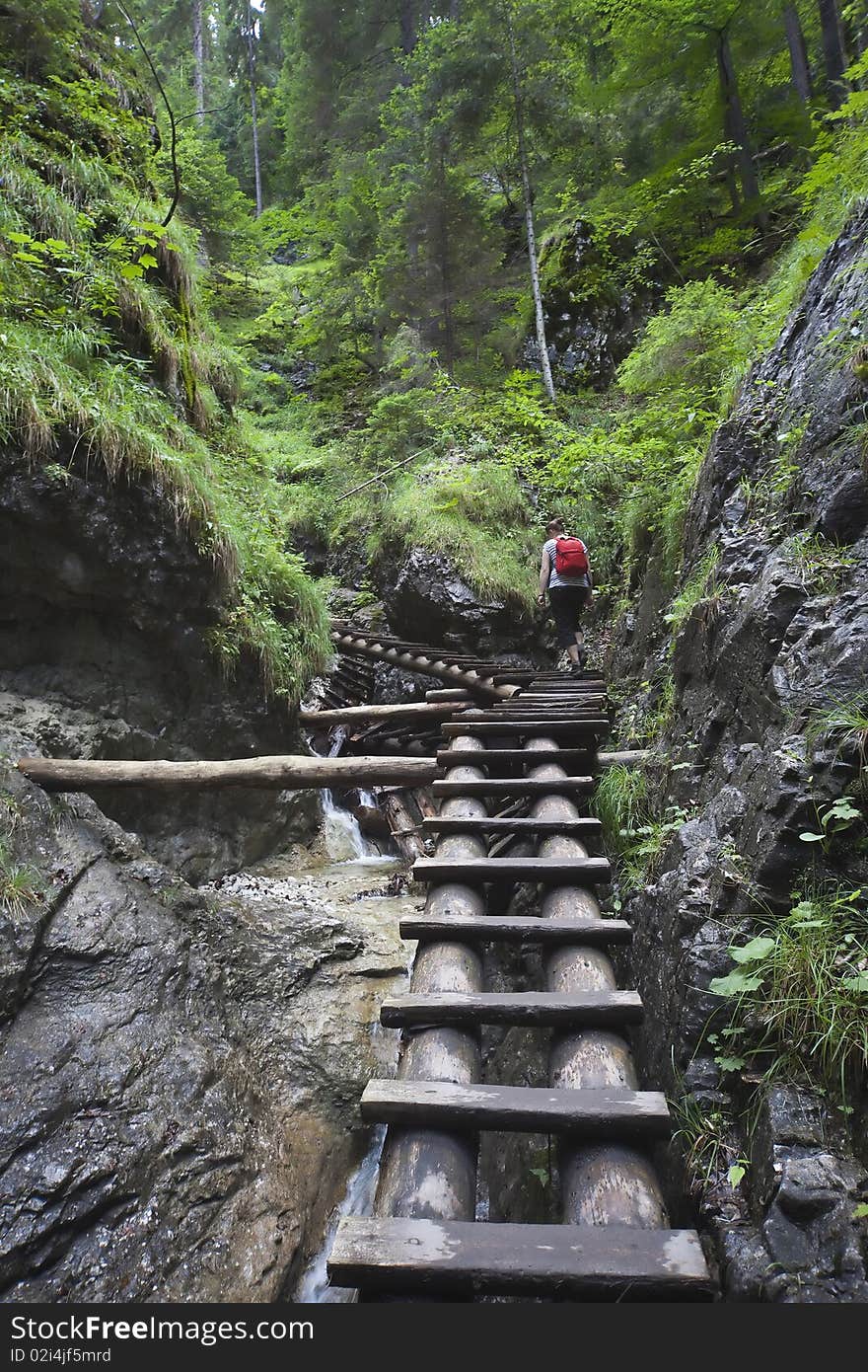 Tourist girl walking through the mountain forest