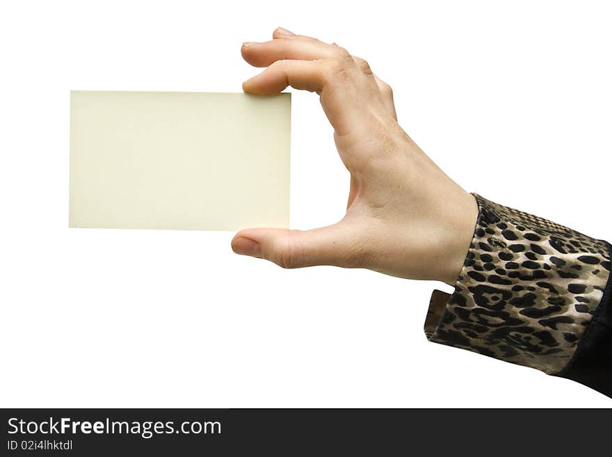 A card blank in a hand