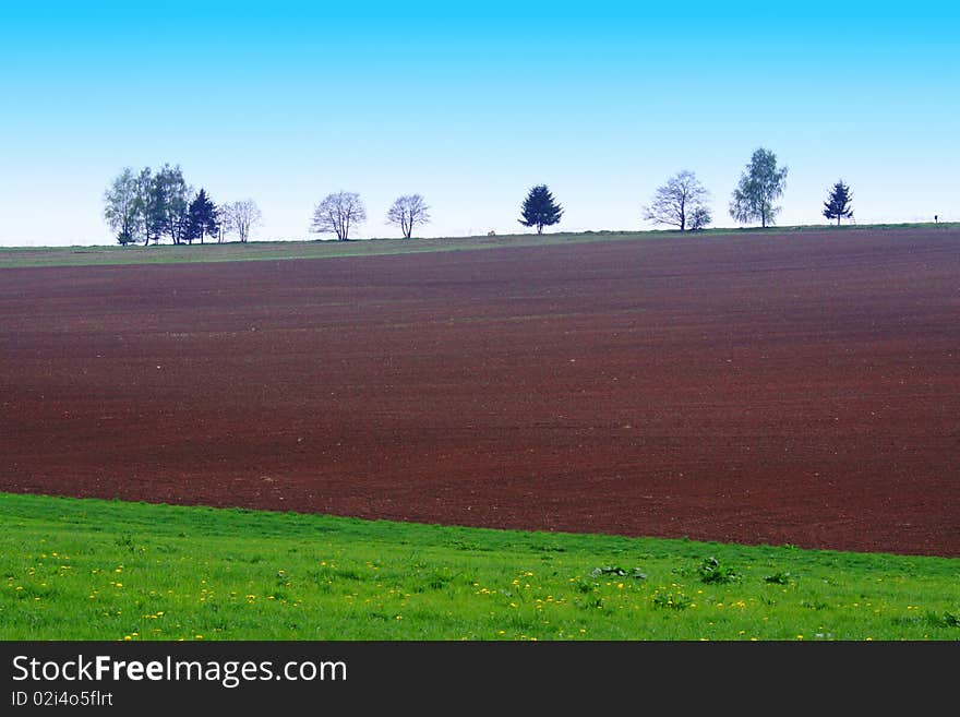 Trees, field and pasture in Czech Republic, in Highland region. Trees, field and pasture in Czech Republic, in Highland region