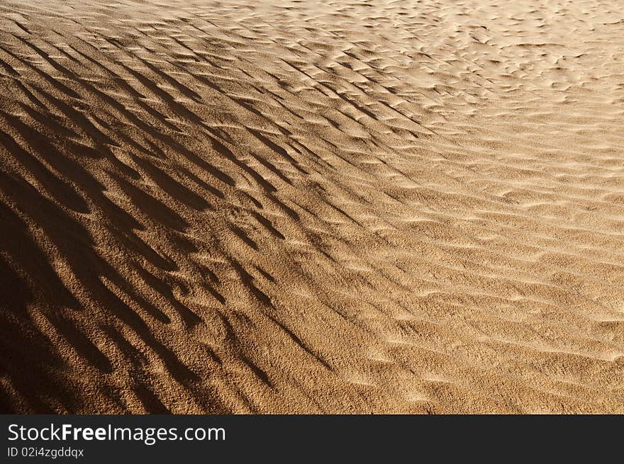 Shadows on sahara dune at sunrise. Shadows on sahara dune at sunrise