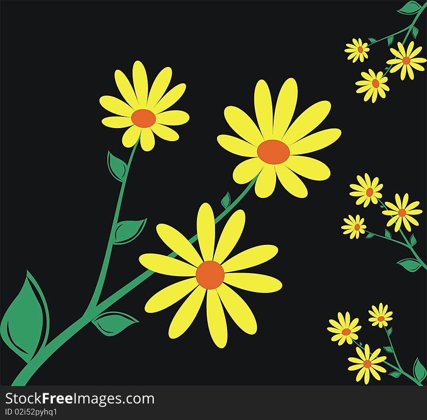 Branches of flowers on a black background. Branches of flowers on a black background