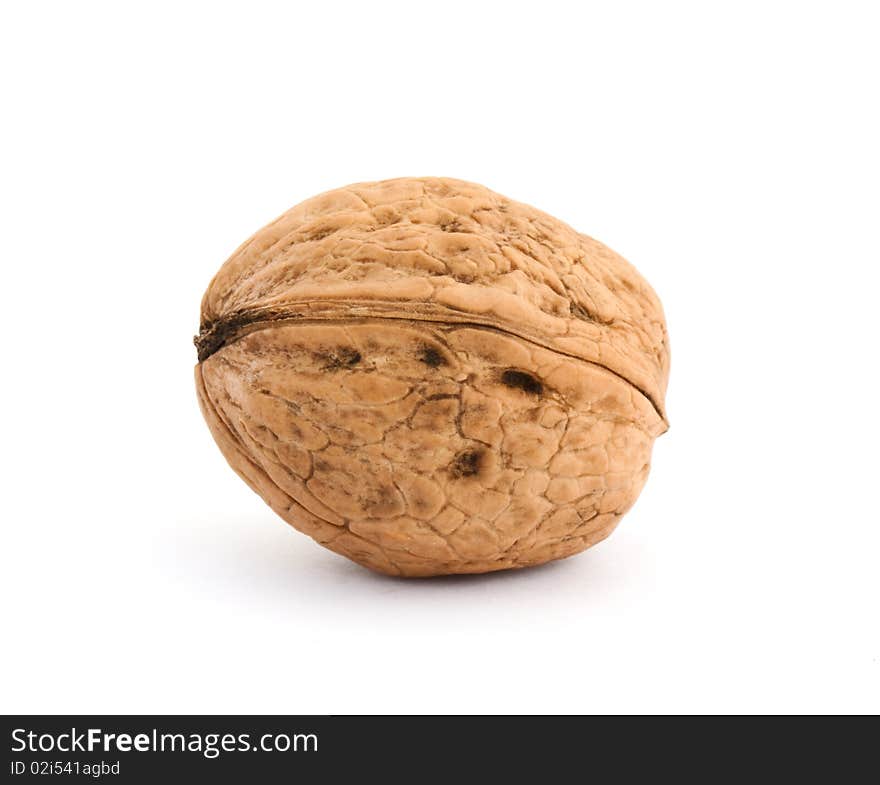 Walnut